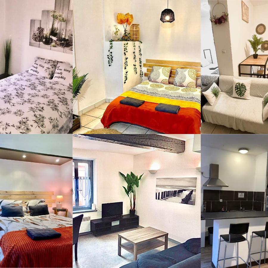 Appartements 24H 7J Carcassonne Ngoại thất bức ảnh